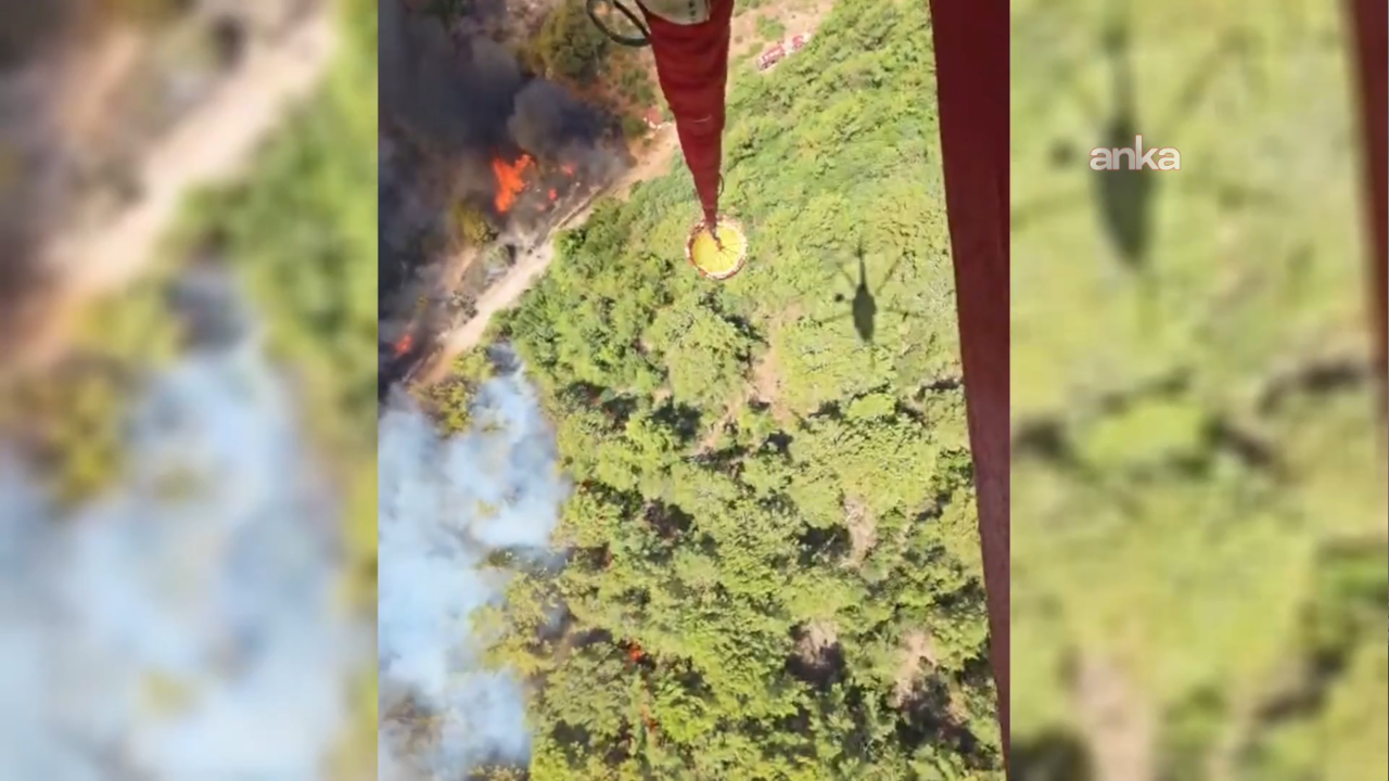 Fethiye'de orman yangını