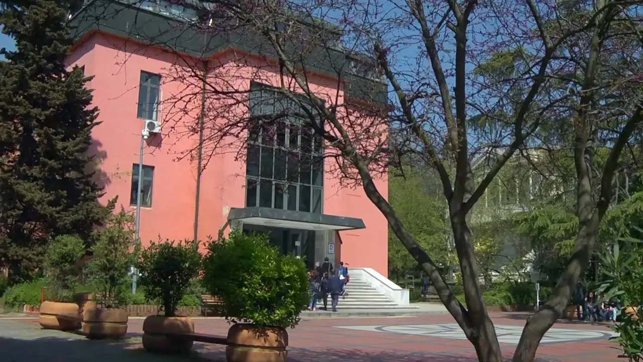 Sokak hayvanlarını besleyen Zeliha Hoca’ya kampüs yasağı!