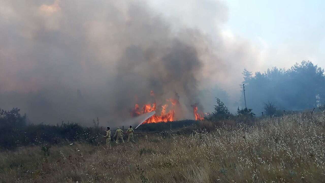 Muğla'da orman yangını