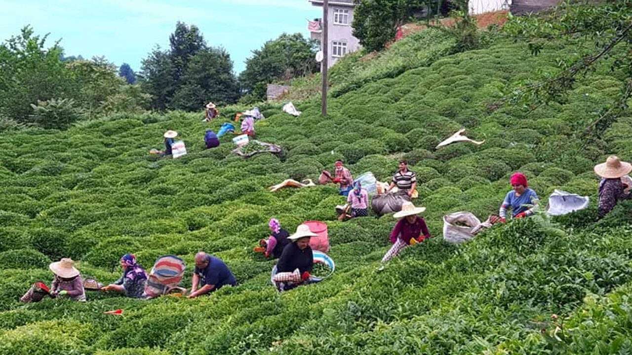 Erdoğan hemşehrilerine ne dieyecek: Bir tonu bir buzdolabı etmiyor!