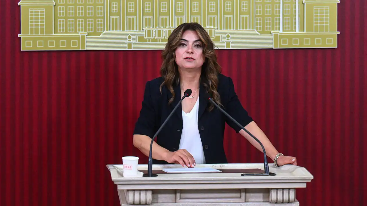 DEM Parti Grup Başkanvekili Gülistan Kılıç Koçyiğit: TBMM'de ‘barış izleme ve takip kurulu’ istiyoruz