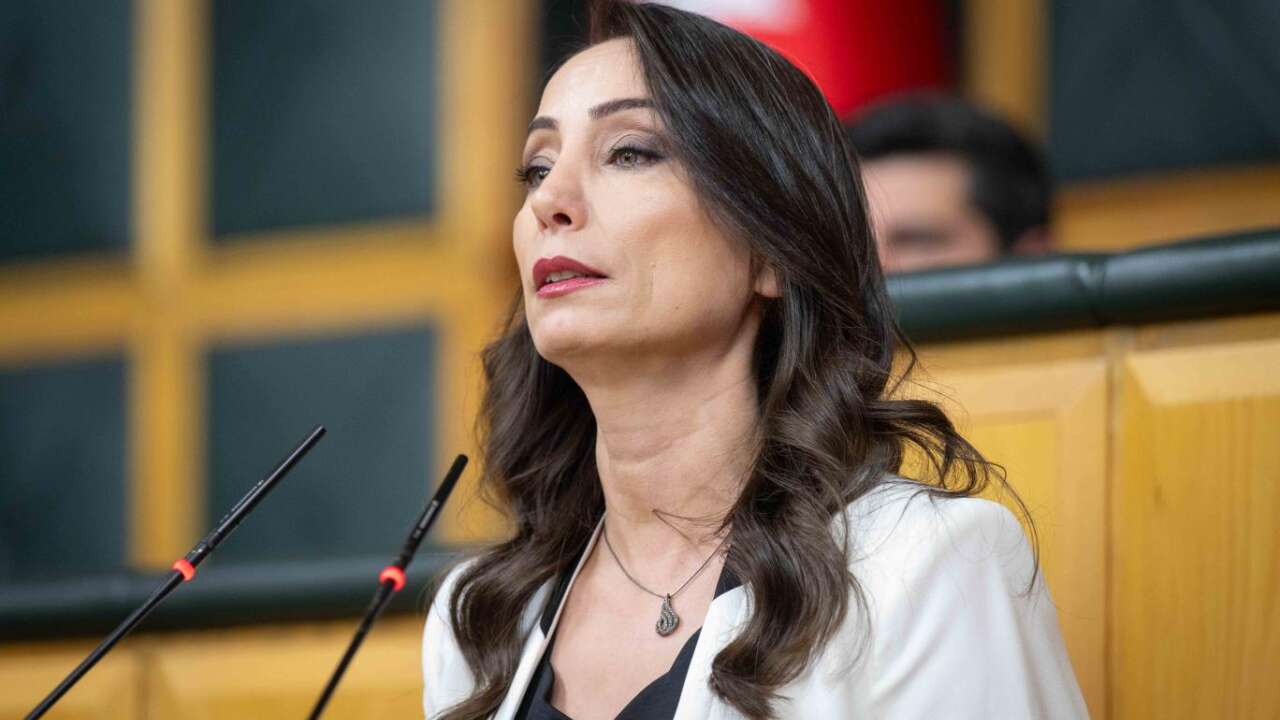 Hatimoğulları'ndan YENİ Parti mesajı: Demokrasiye katkı sunacak