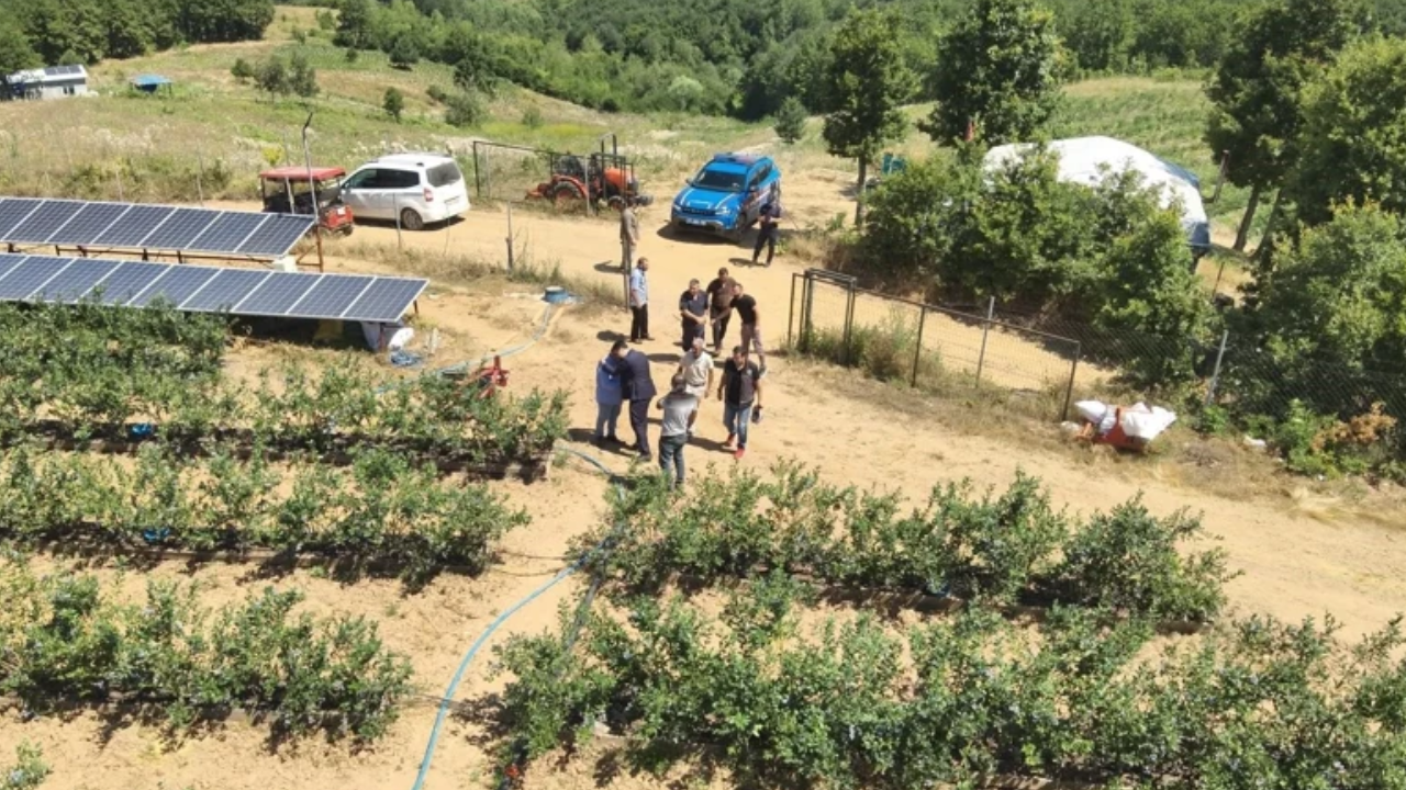 Kurak araziye devlet desteğiyle dikti: Büyükşehirlerin meyve tedarikçisi oldu!