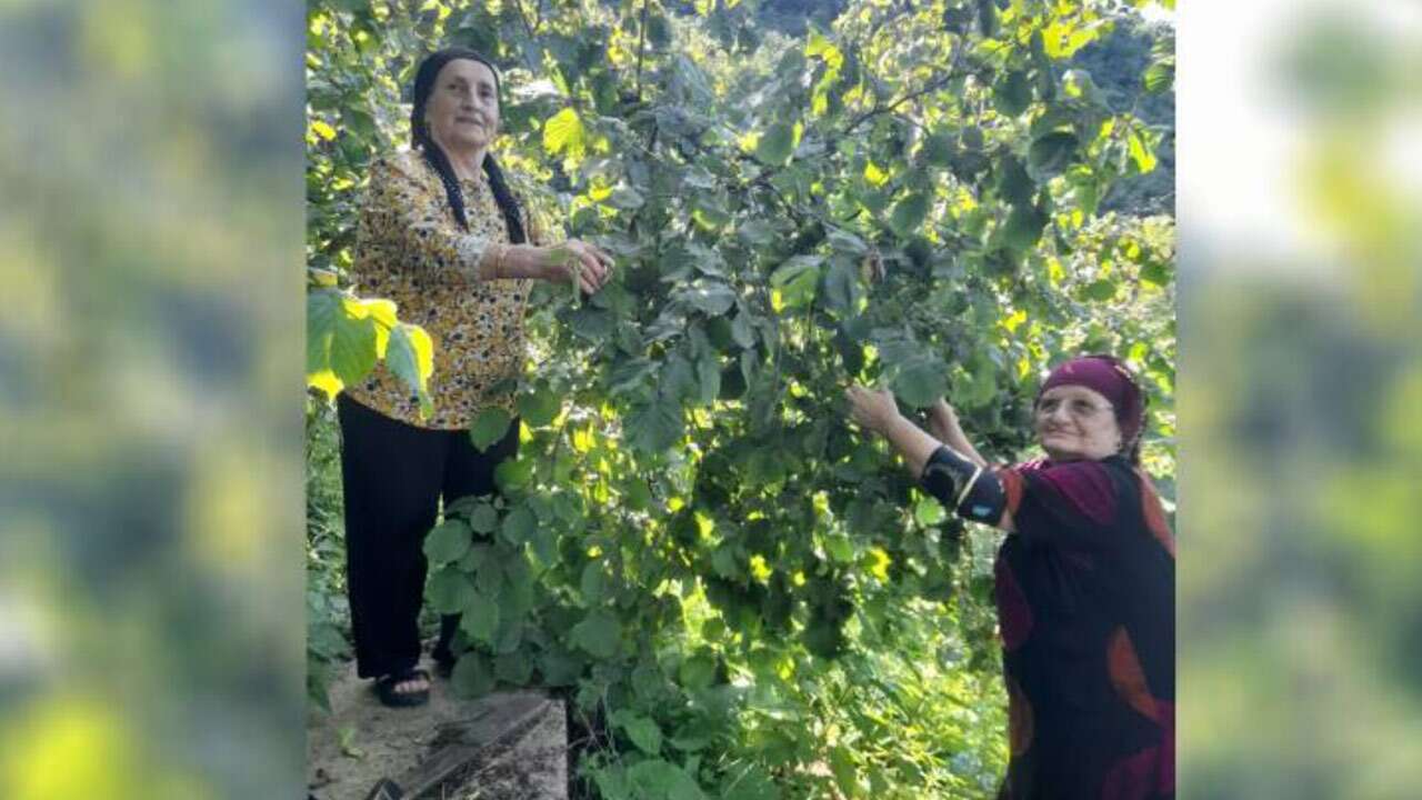 Fındık üreticisi AK Parti’de ümidi kesit ve sokağa çıkıyor