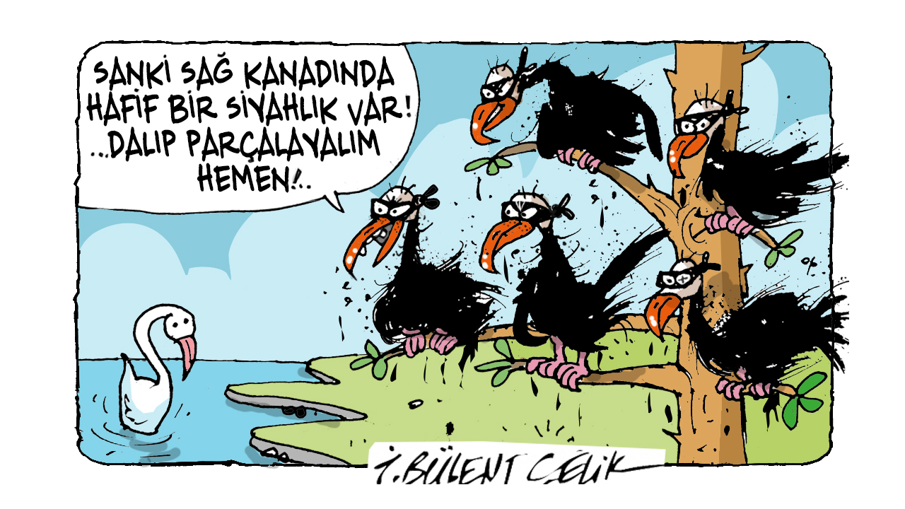 İ. Bülent Çelik'in 30 Temmuz 2026 tarihli karikatürü