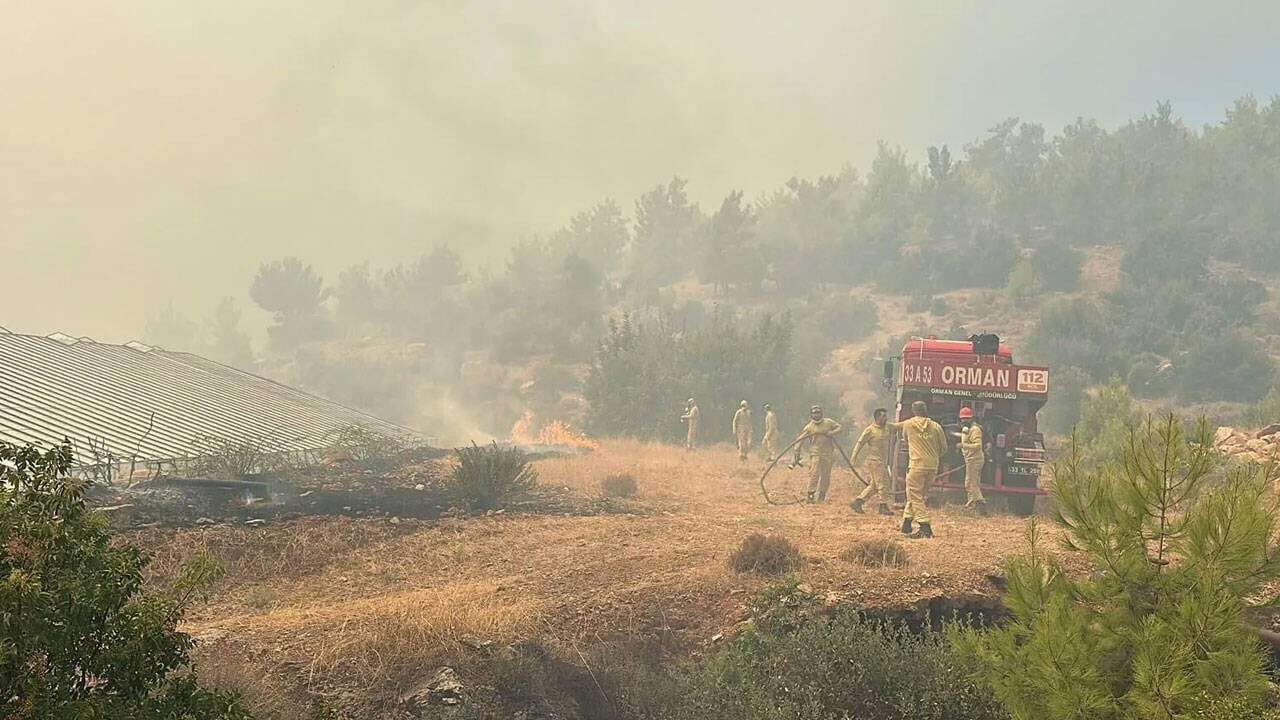 Gaziantep'te orman yangını!