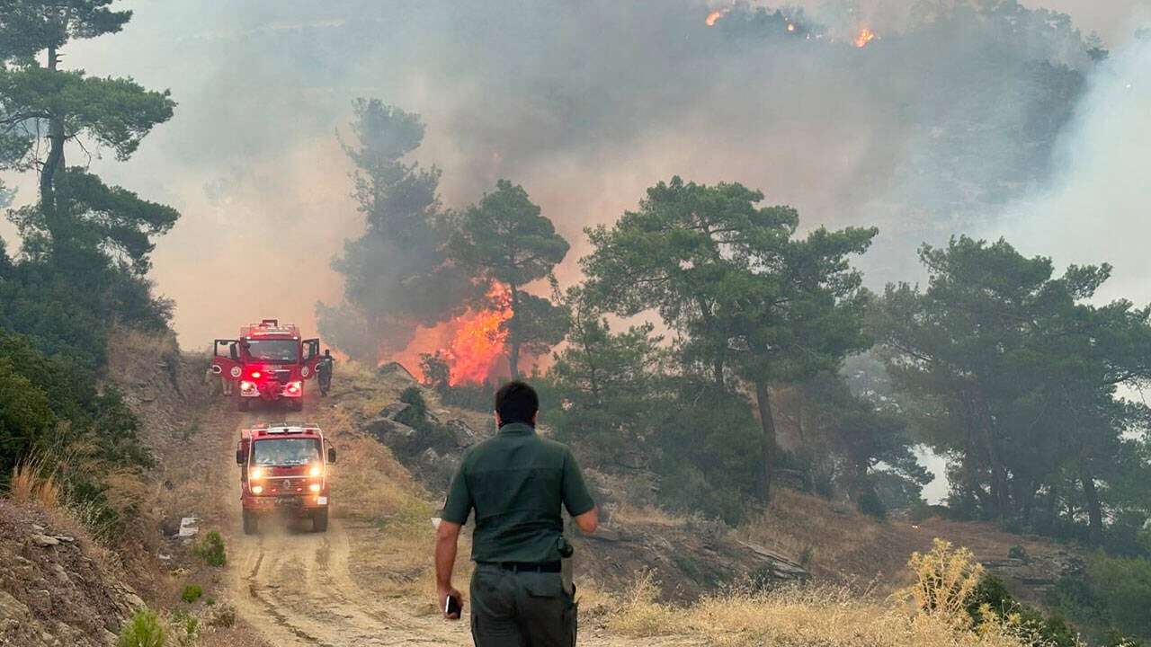 Aydın'daki orman yangınında ikinci gün!