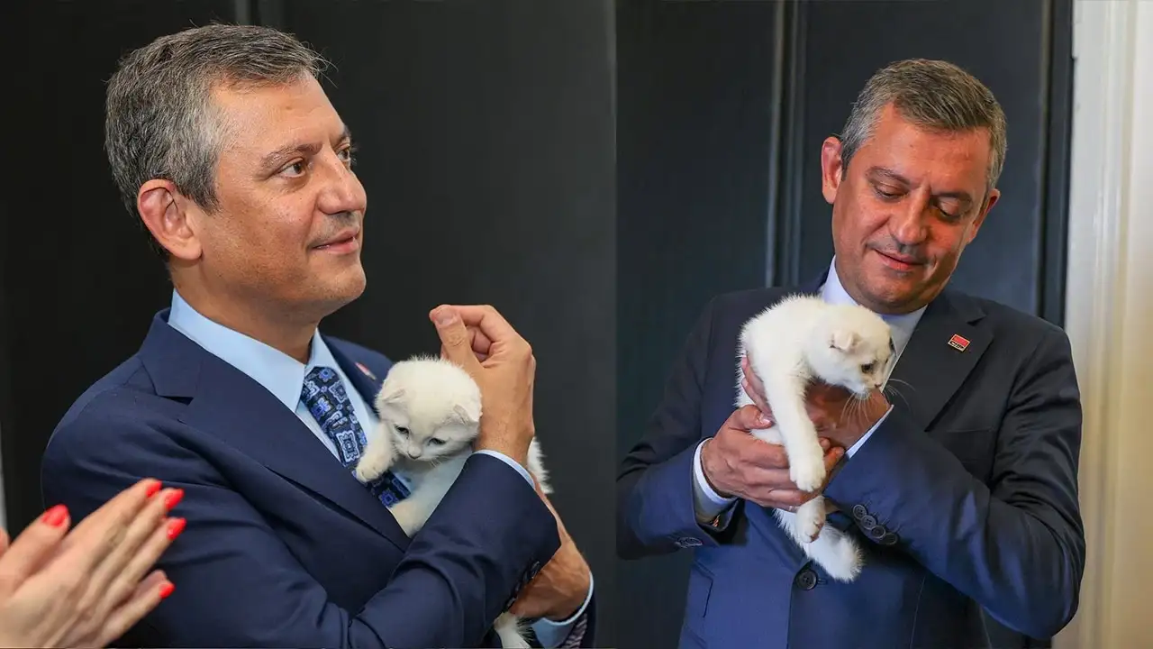 CHP Genel Merkezi'nde polis baskını sırasında kurtarma operasyonu: Kedi Zafer nasıl çıkartıldı?