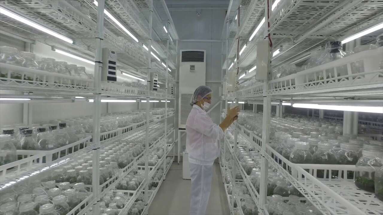Malezyalılar Türk devini 600 milyon dolara satın aldı