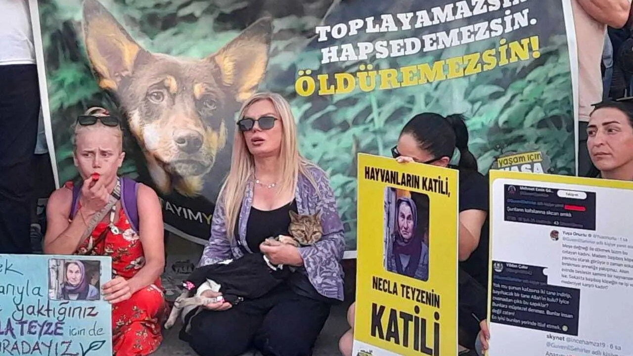 Kadıköy'de 'katliam yasası' protestosu: 'İptali için tüm gücümüzle sınırları zorlayacağız'