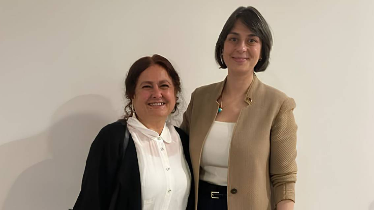 Sibel Tan Çetinkaya kimdir?
