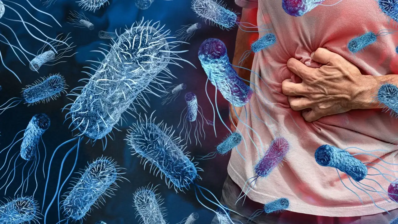 ABD'de salmonella salgını 27 eyalete yayıldı: Menülerden çıkarıldı