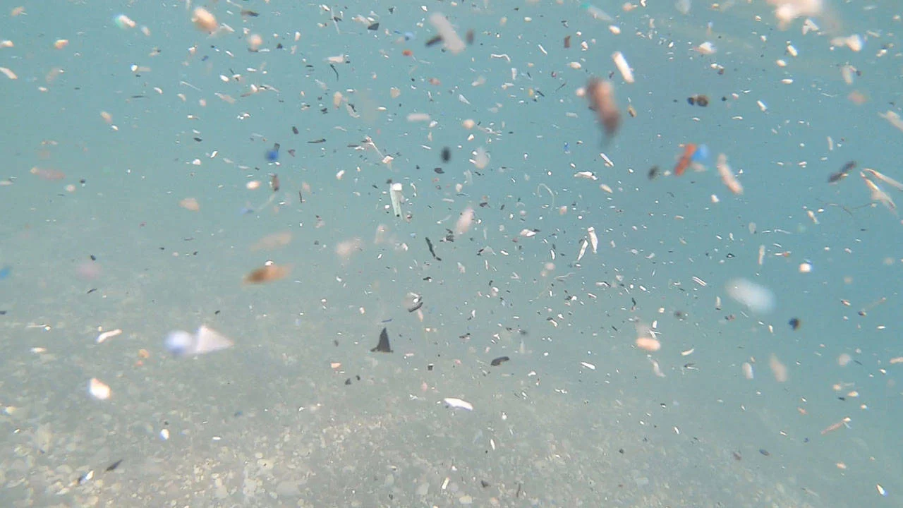 Adana’dan Fethiye’ye kadar yayıldı: Akdeniz’e her saat 2 milyar mikroplastik akıyor!