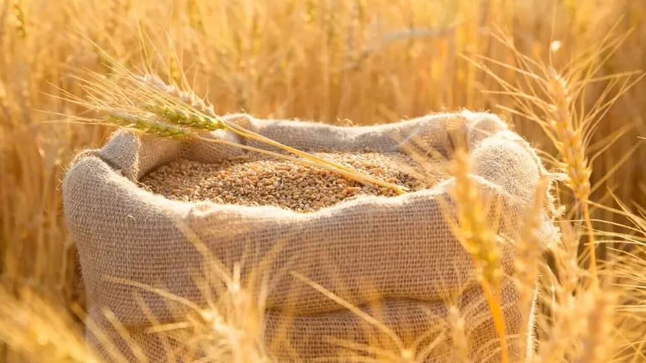 Gıda fiyatlarında savaş ve iklim krizi etkisi: Son 3 yılın en yüksek seviyesini gördü