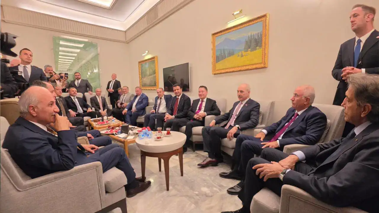 Efkan Âlâ’dan Ali Babacan'a ‘bambu’ örneği