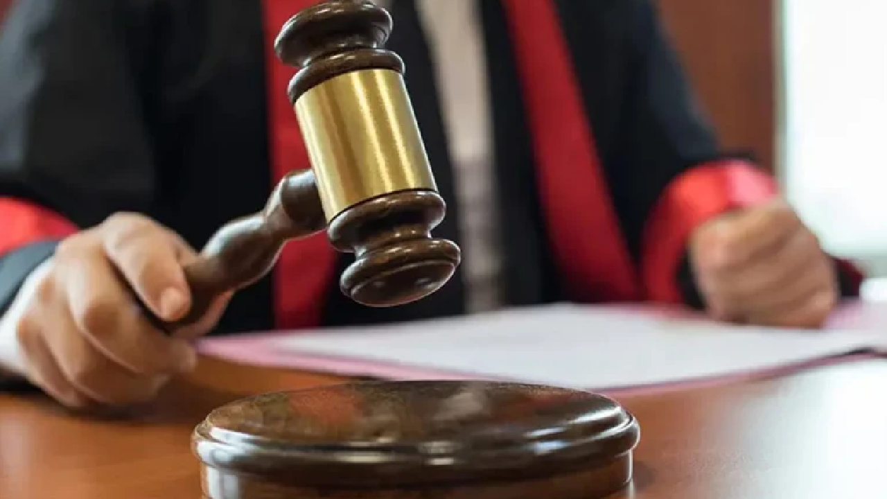 Yargıtay'dan köpek saldırısı için emsal karar: Cezayı hayvan sahibi ödeyecek