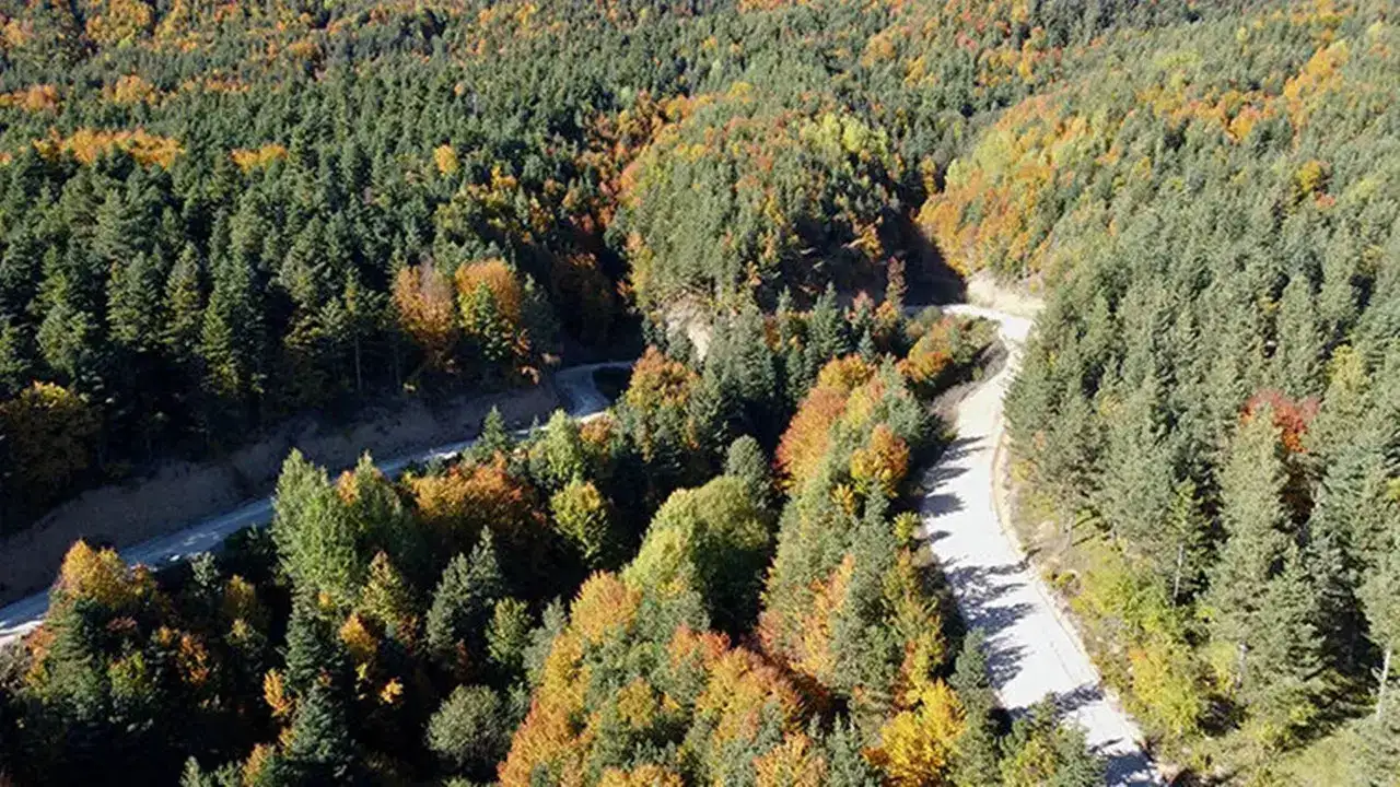 Bolu'da orman yangını için kritik uyarı