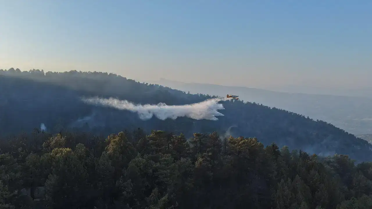 Aydın'daki orman yangını 2'nci gününde!