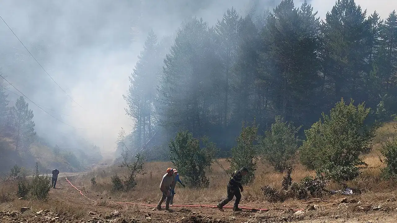 Adalet Bakanı Akın Gürlek açıkladı: 64 orman yangınında kaç kişi tutuklandı?