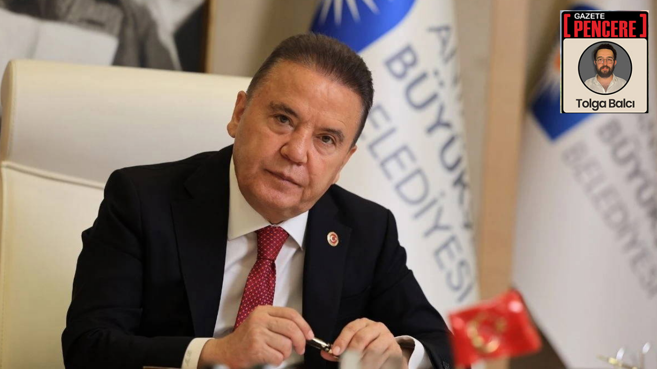 Taç Döviz, havala, 100 TL'lik banknot... Muhittin Böcek ifadesinde boşluk doldurdu