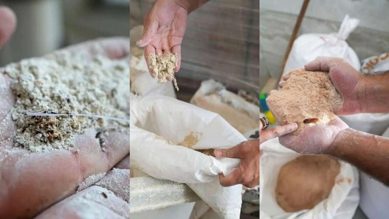 Vatandaşa zehir satacaklardı: 30 ton böceklenmiş bozuk un ele geçirildi