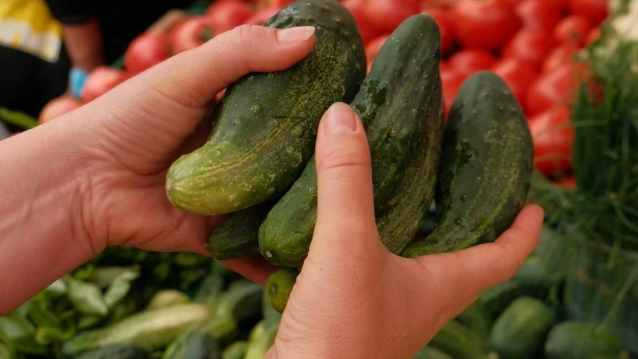 'Sakın tüketmeyin' uyarısı yapıldı: Ünlü marketin sattığı kabaklar için acil toplanma kararı