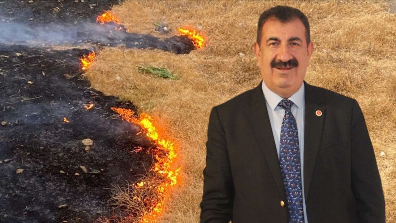 Anız yakanlara dekar başına 698 lira, yangına neden olursa hapis cezası