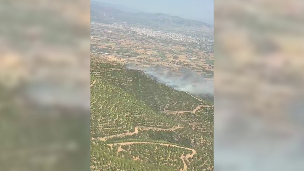 İzmir'de orman yangını
