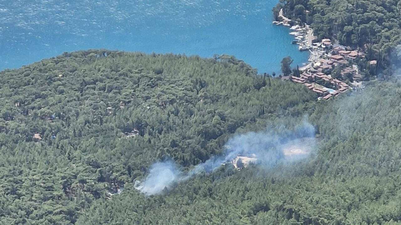 Muğla'da korkutan orman yangını: Havadan ve karadan müdahale başladı