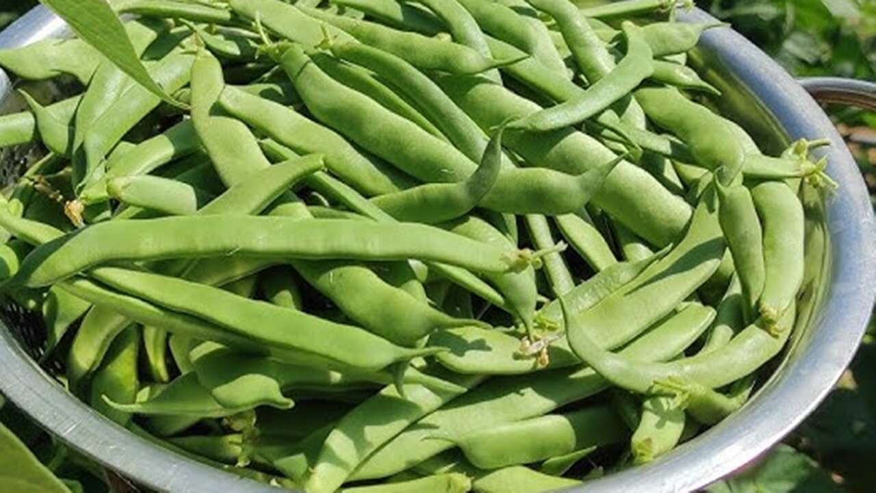 Yeşil fasulyeyi lezzetlendiren tüyo: 1 kaşık eklenmesi gereken baharat
