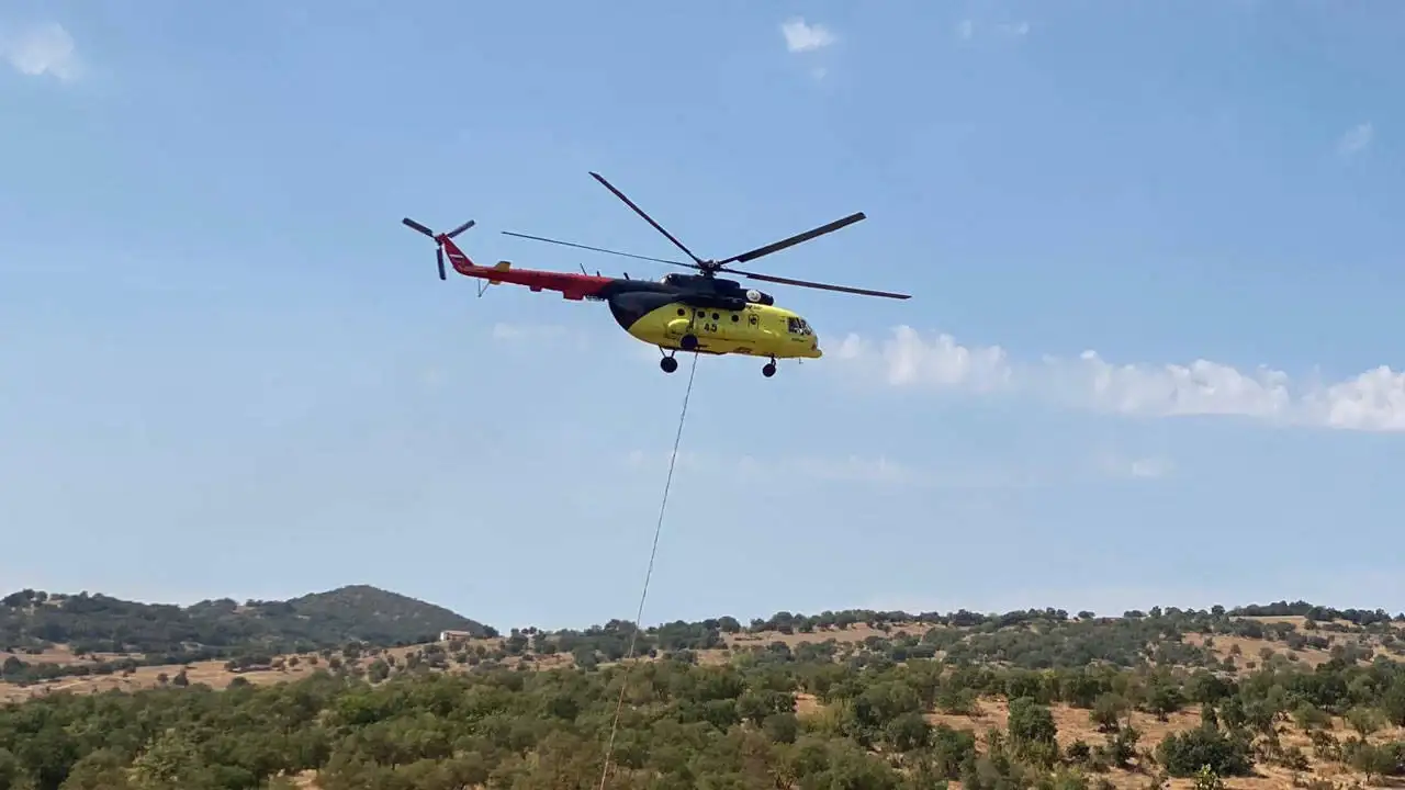 Balıkesir'de korkutan orman yangını