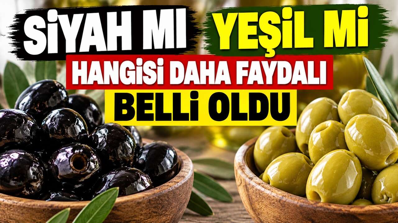 Siyah mı yeşil mi daha faydalı? Zeytin seçerken asıl dikkat edilmesi gereken ayrıntı