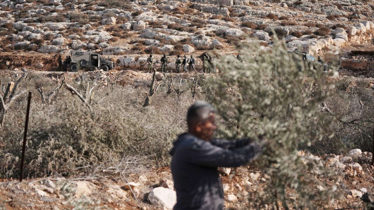 Ekolojik emperyalizmi de gördük; ulusal kimliği çam ağaçlarıyla örtmek!