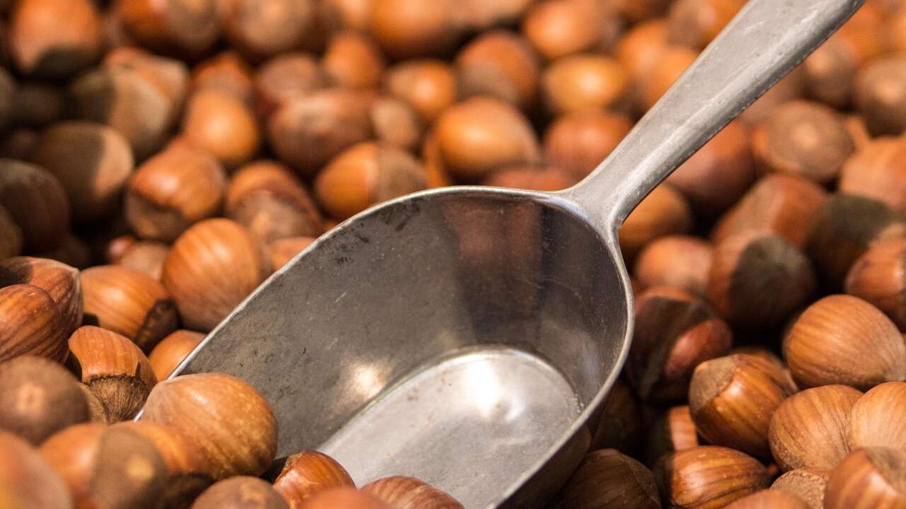 Bakanlık devreye girdi: Fındık devlerine inceleme başlatıldı