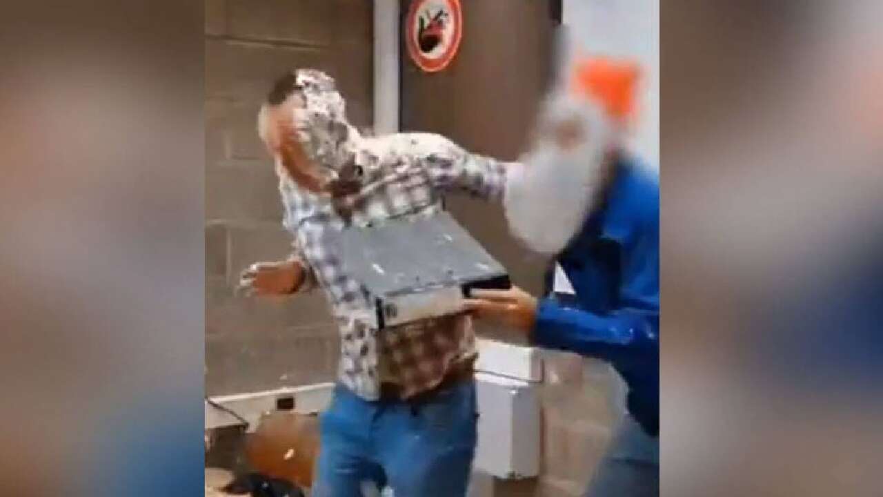 Belçika’da profesöre derste pastalı saldırı: Silah sanayi ile bağlantılı
