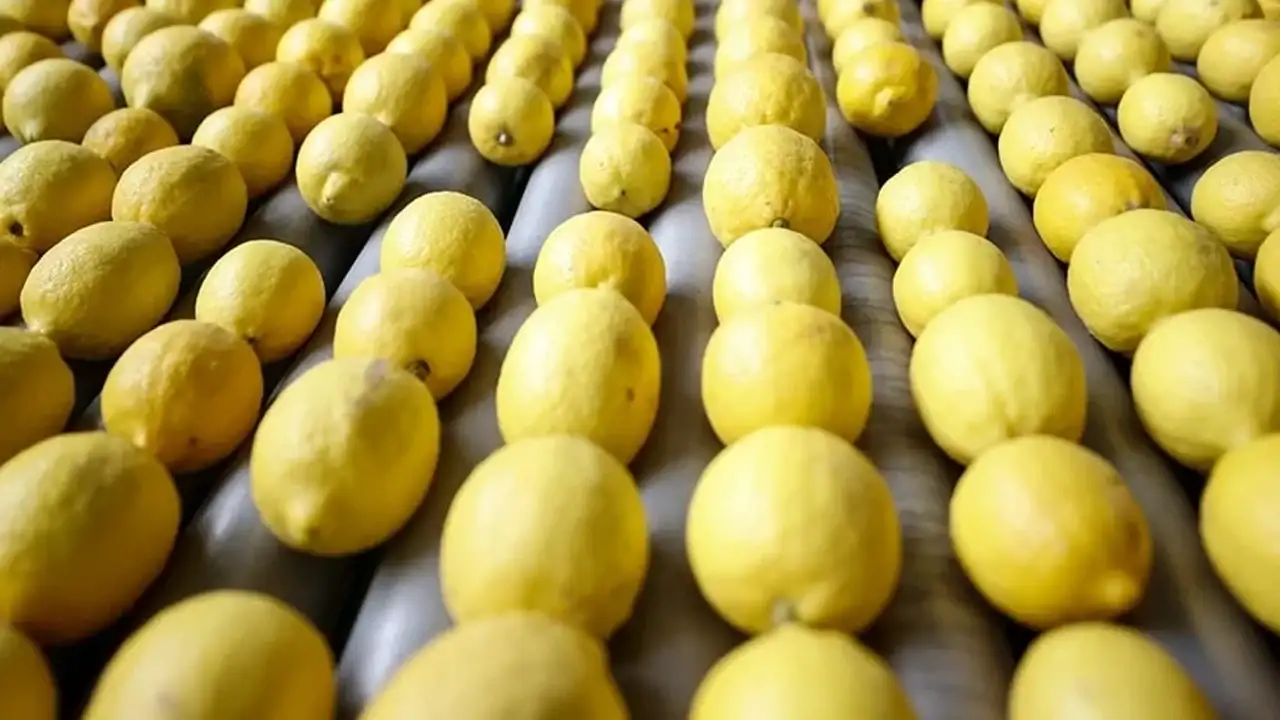 5 market listede: Limonlarda pestisit alarmı