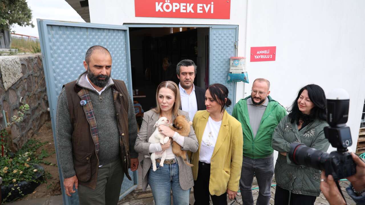 Ferdi Zeyrek Vakfı’ndan 4 bin 500 sahipsiz hayvan için “Patili Dostlar” dayanışması