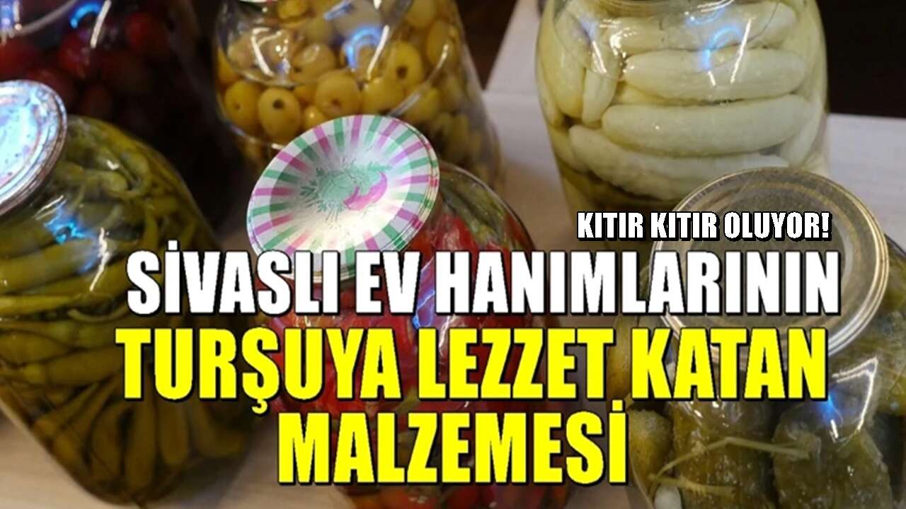 Turşuyu kıtır kıtır yapan yöntem! Sivaslı ev hanımlarından geleneksel yöntem