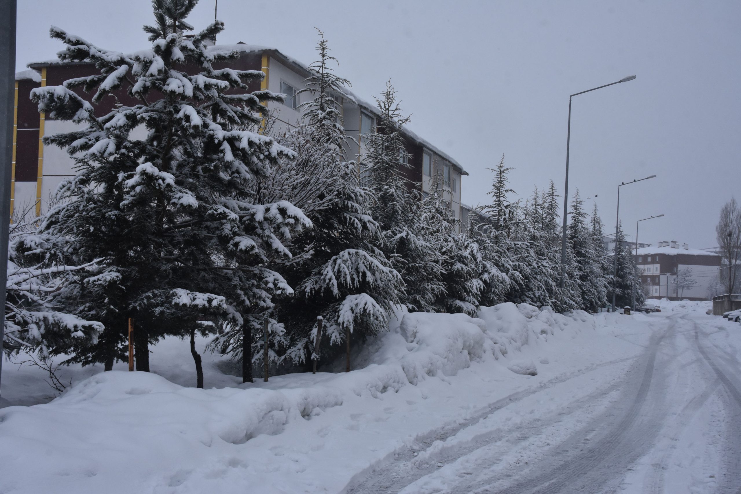 Bitlis'te kar 34 köy yolunu kapadı