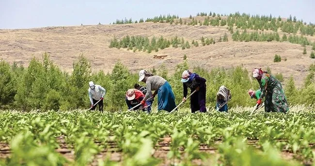 Bakan Yumaklı duyurdu: Çiftçilere 3,5 milyar liralık tarımsal destekleme ödemesi yapıldı