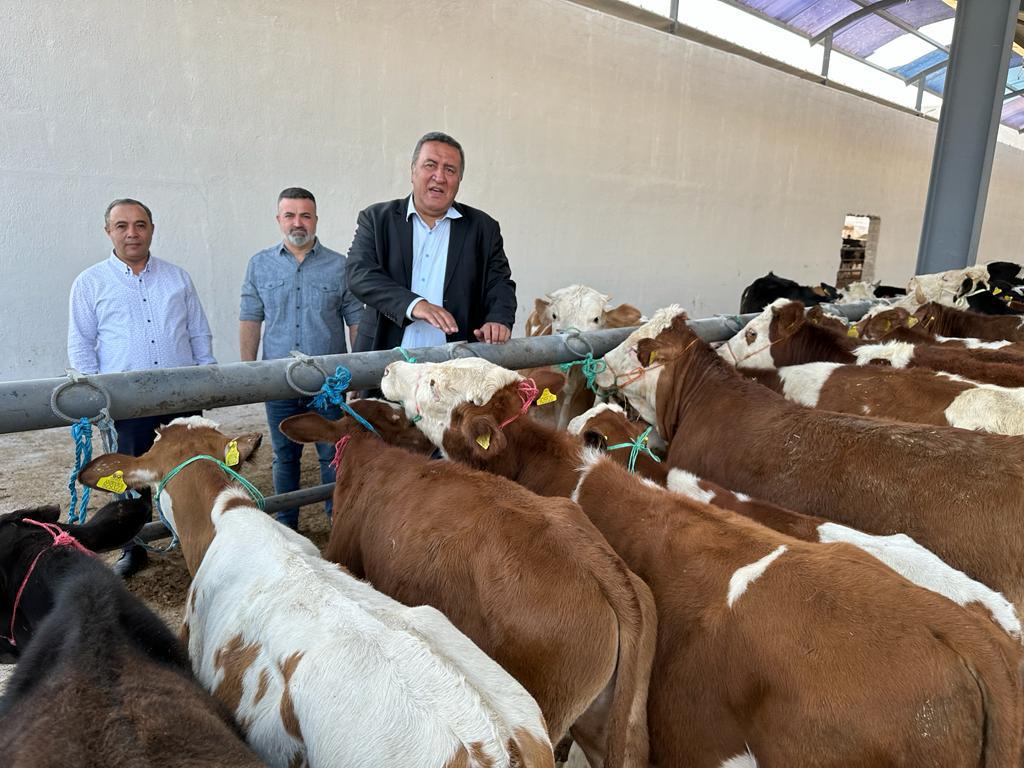 CHP'li Gürer: Et ve Süt Kurumu tesisini dahi çalıştırmamış