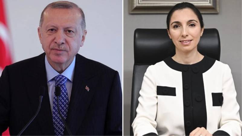 Gaye Erkan ile Erdoğan buluşması: DMM 'görüşme olmayacak' dedi, Babacan seçenekleri yazmıştı