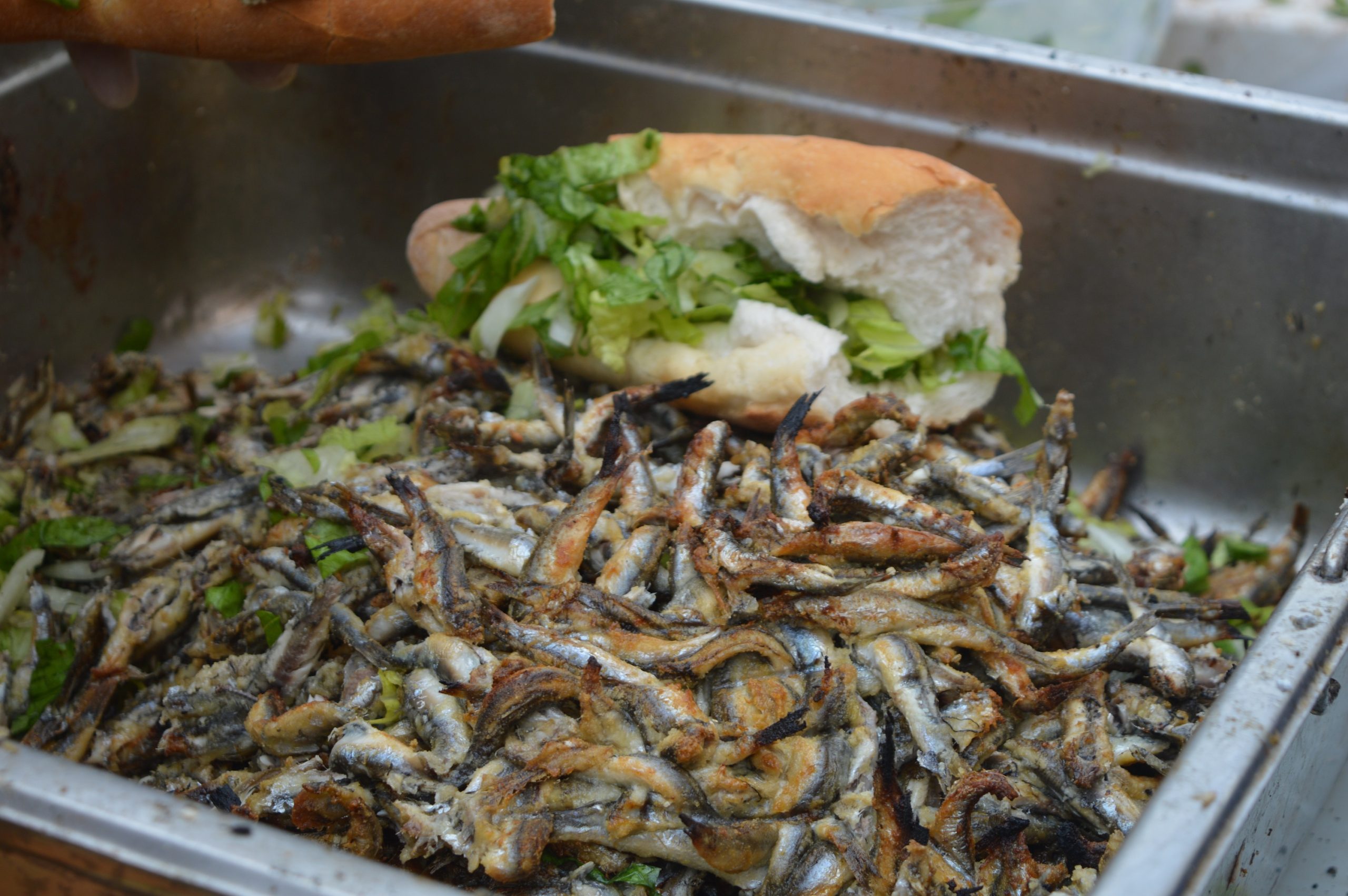 Hamsi festivalinde 1 ton balık yediler