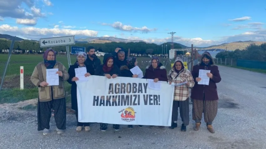 Agrobay, işten attığı işçilere dava açtı