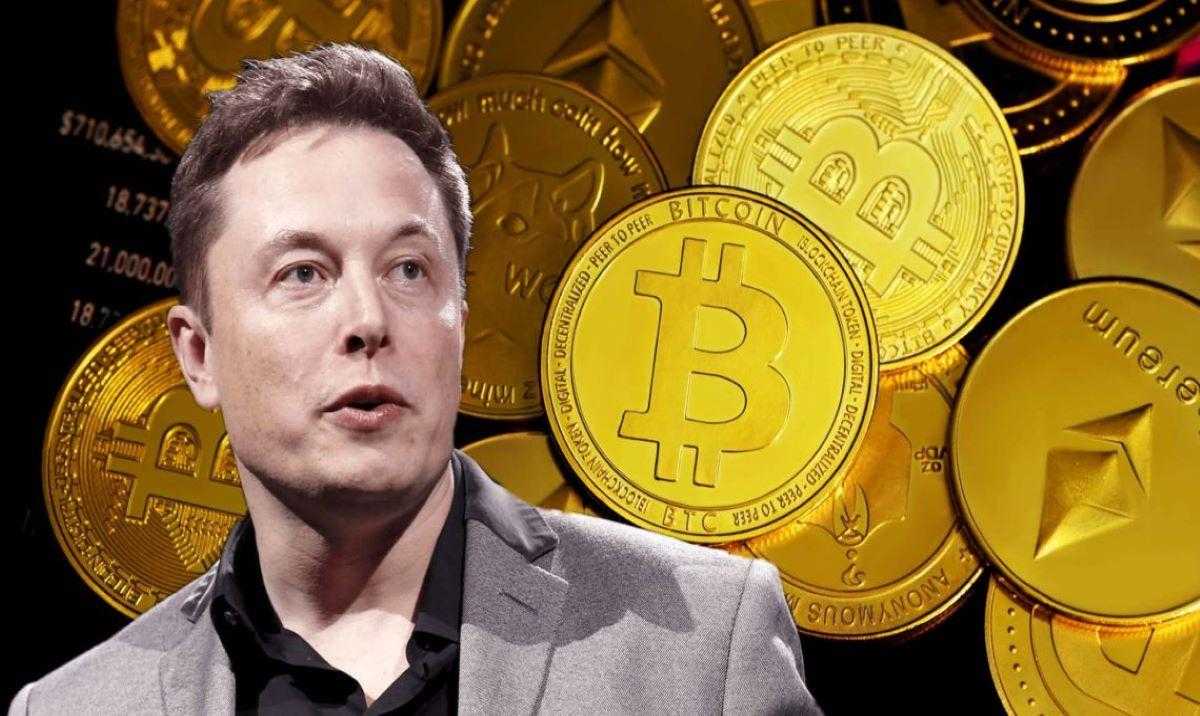 Dolandırıcılar Elon Musk'ın adını kullanarak 2 milyon dolarlık Bitcoin vurgunu yaptılar