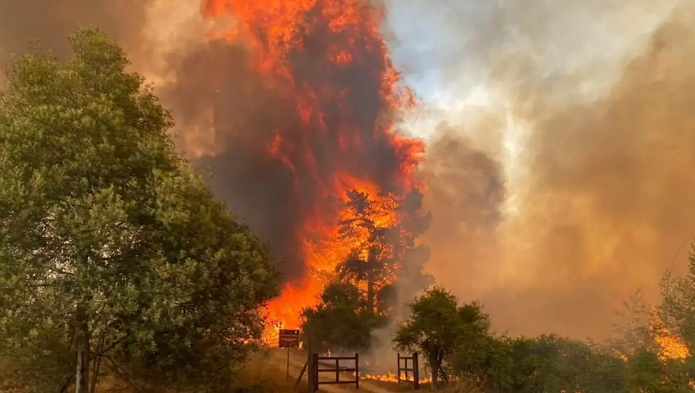 Şili'de orman yangını: Ölü sayısı 19'a yükseldi