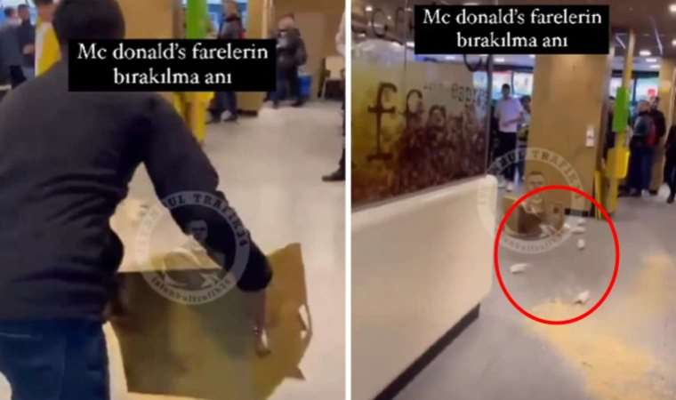 İstanbul'da bir kişi McDonald's şubesine bir kutu fare fırlattı