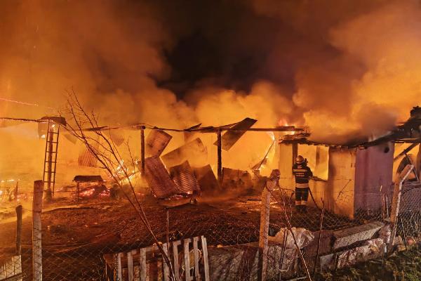 Ahırda açık unutulan lamba patlayınca yangın çıktı: 63 hayvan feci şekilde öldü