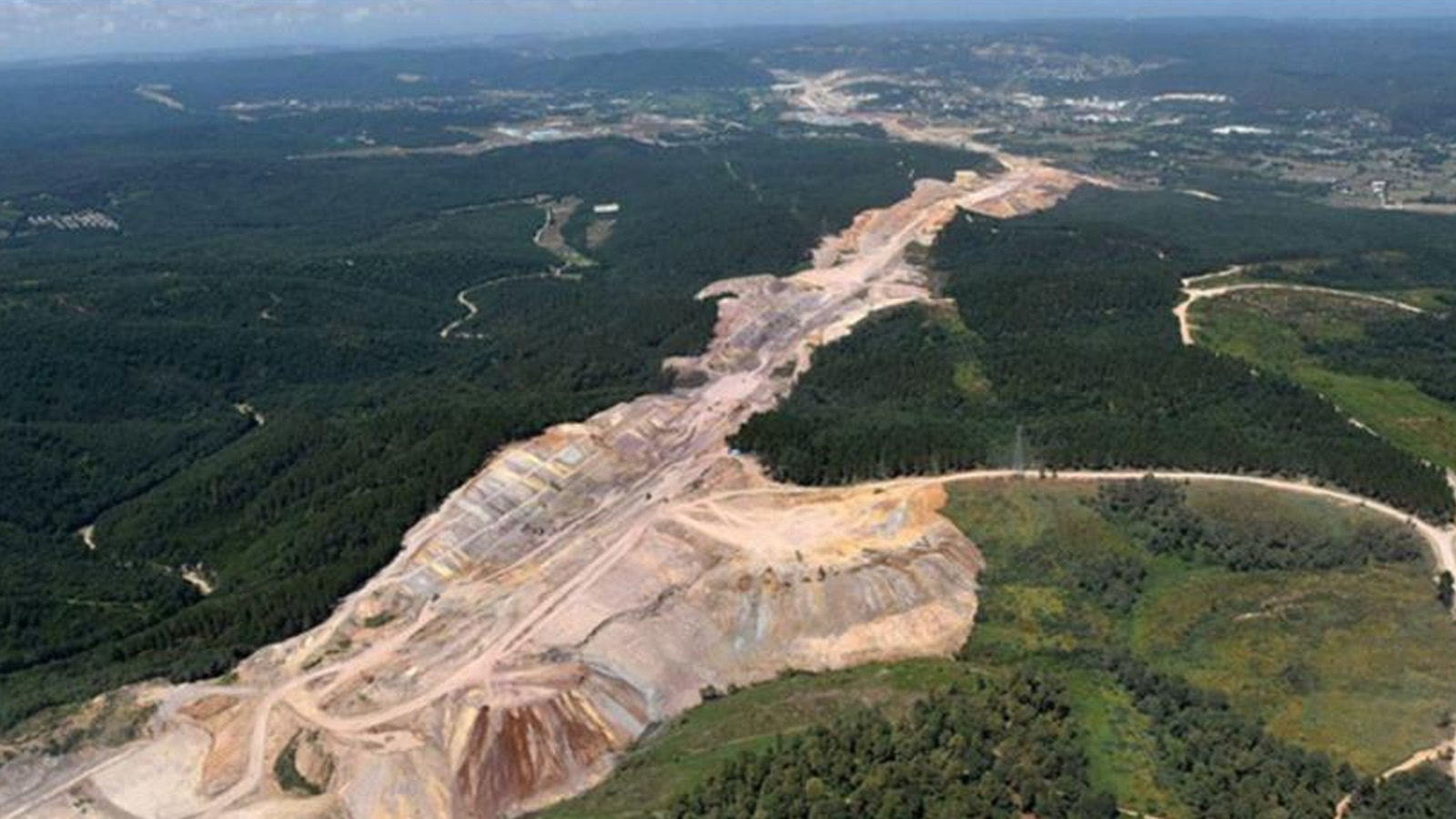 Ağır hasar alan Kuzey Ormanları madene kurban ediliyor