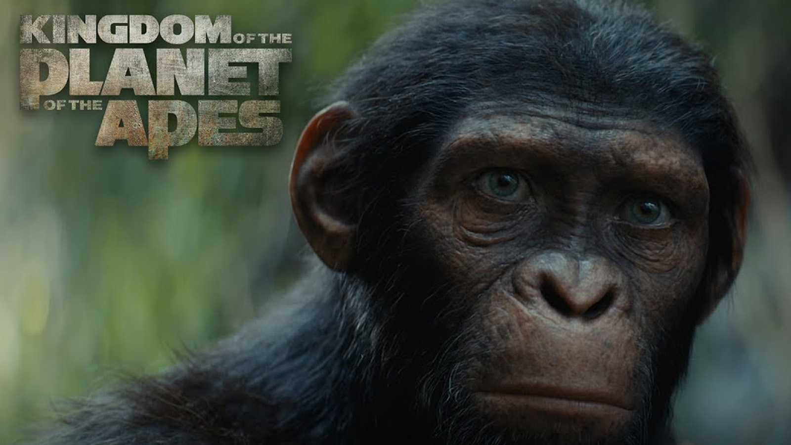 Epik serinin son filmi 'Maymunlar Cehennemi: Yeni Krallık'tan yeni fragman yayınlandı